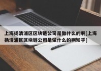 上海扬清浦区区块链公司是做什么的啊[上海扬清浦区区块链公司是做什么的啊知乎]