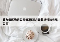 算力云区块链公司概况[算力云数据科技有限公司]